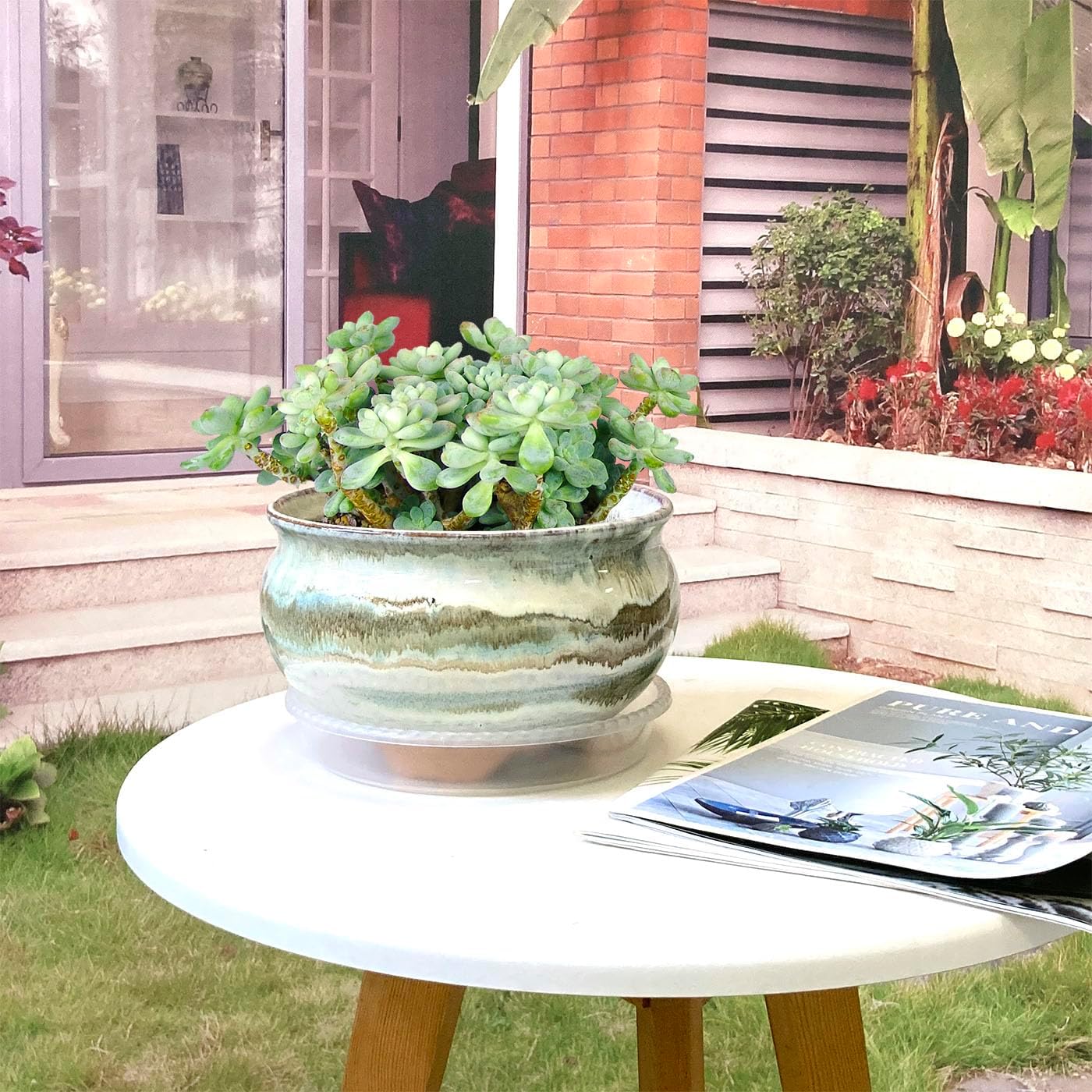 8 Inch Succulent Pot with Drainage and Saucer Glazed Terracotta Round Ceramic Succulent Planter Cactus Bonsai Plant Pot (Gream)