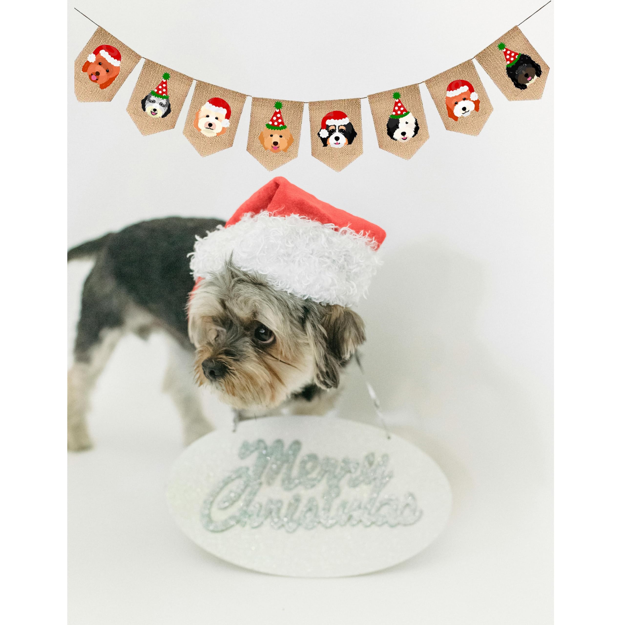 Décoration De Fête Pour Chien, Décoration Pour La Fête Du Teckel-Convient Pour Les Fêtes D'Anniversaire, Ballon Bannière Cupcake, 30 Pièces