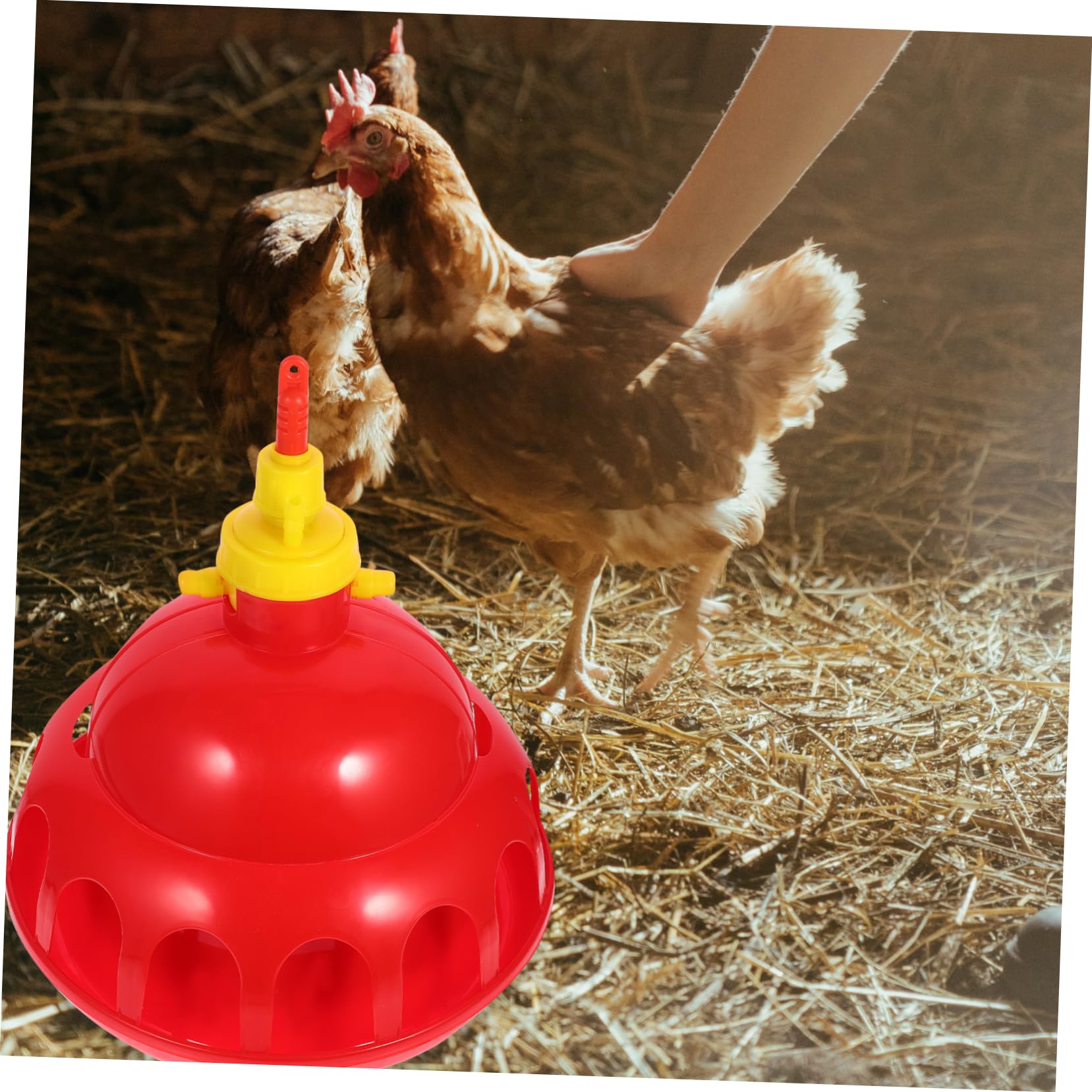 Yardwe Bebedero Automático Espesado para Aves De Corral Dispensador De Agua Fácil y Seguro para Gallinas y Codornices