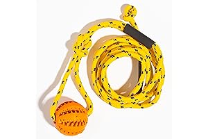 Pet Frog Ring Rope Pull Toy for Interactive Dog Training, Chase, & Tug of War