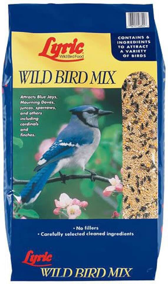 bulk bird seed