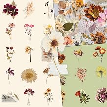 50Pcs Dried Flower Plant Stickers Waterproof Vinyl Aesthetic Decals for Water Bottles Laptops Skateboards Luggage Helmets Bikes and Phones Teens Adults and Nature Fans