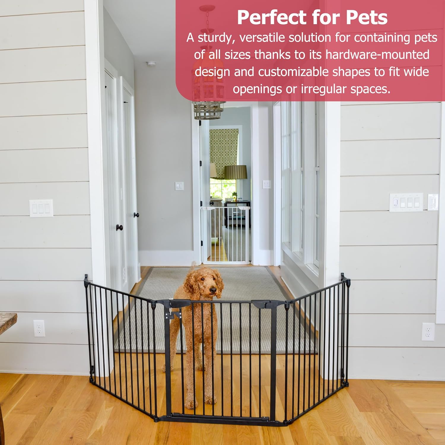 Expandable Wide Pet Gate Cardinal Gates, White Philippines Ubuy