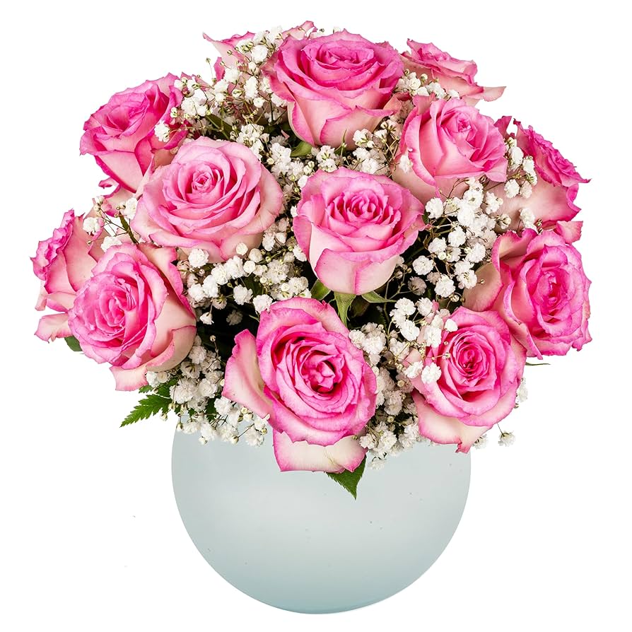 Amazon.com : 18 Pink Roses + Baby's Breath in Opal Vase