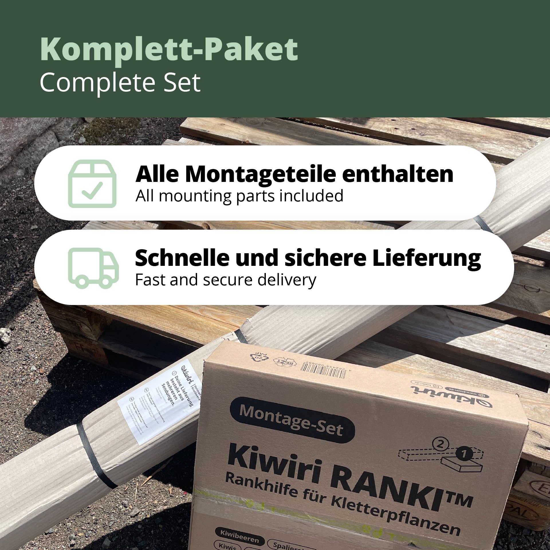 RANKI ™ - Rankhilfe für Kletterpflanzen - Spalier auf Plantagenstandard für Wein, Kiwi, Kiwibeeren, Rosen, Clematis, Spalierobst (1-Feld (2,5 Meter))