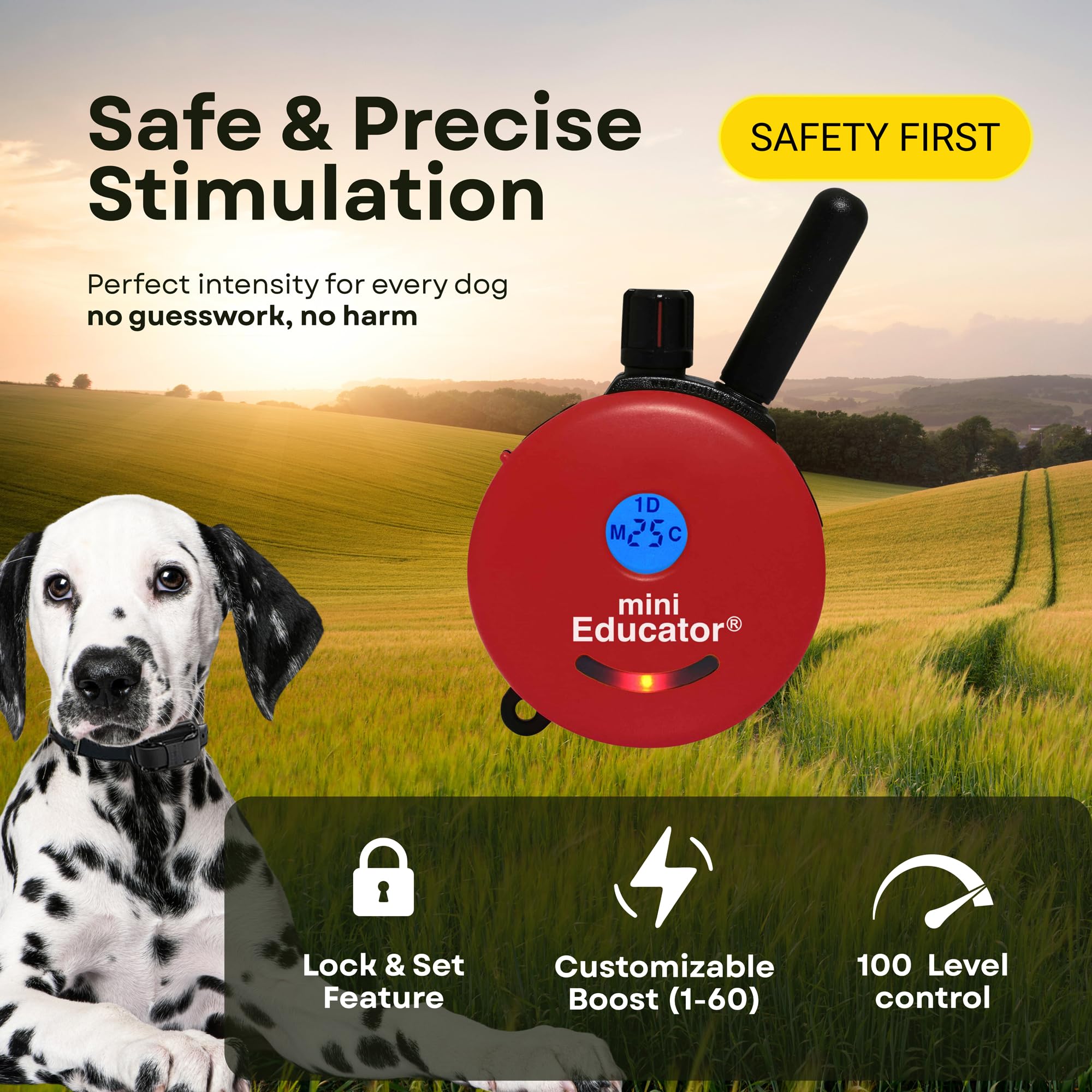 E-collar Technologies ET-302 BK - Smart pet collar