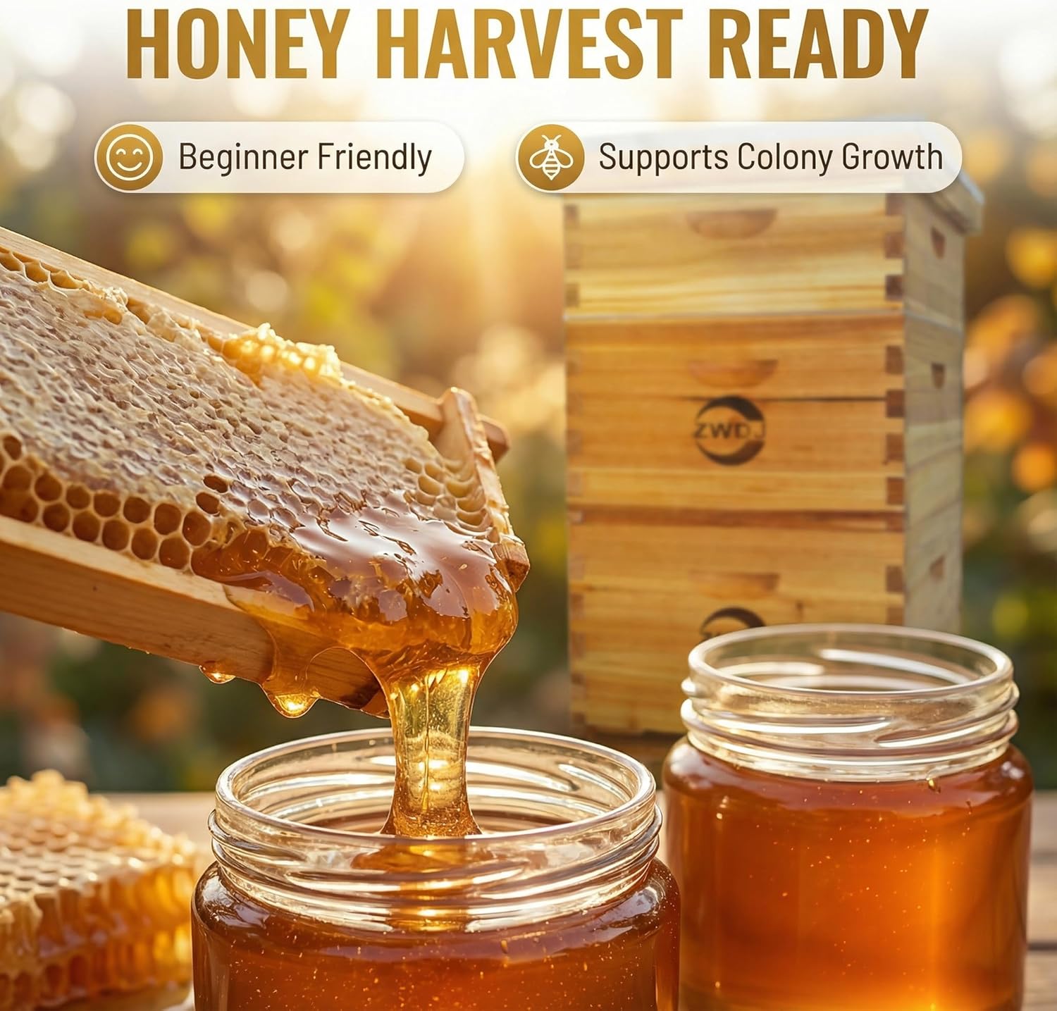 10 Frame Beehive Kit with Beeswax Coated Frames, Complete Langstroth Beehive for Beekeeping, Includes Waxed Foundation, 2 Deep Boxes and 1 Medium Box for Honey Production