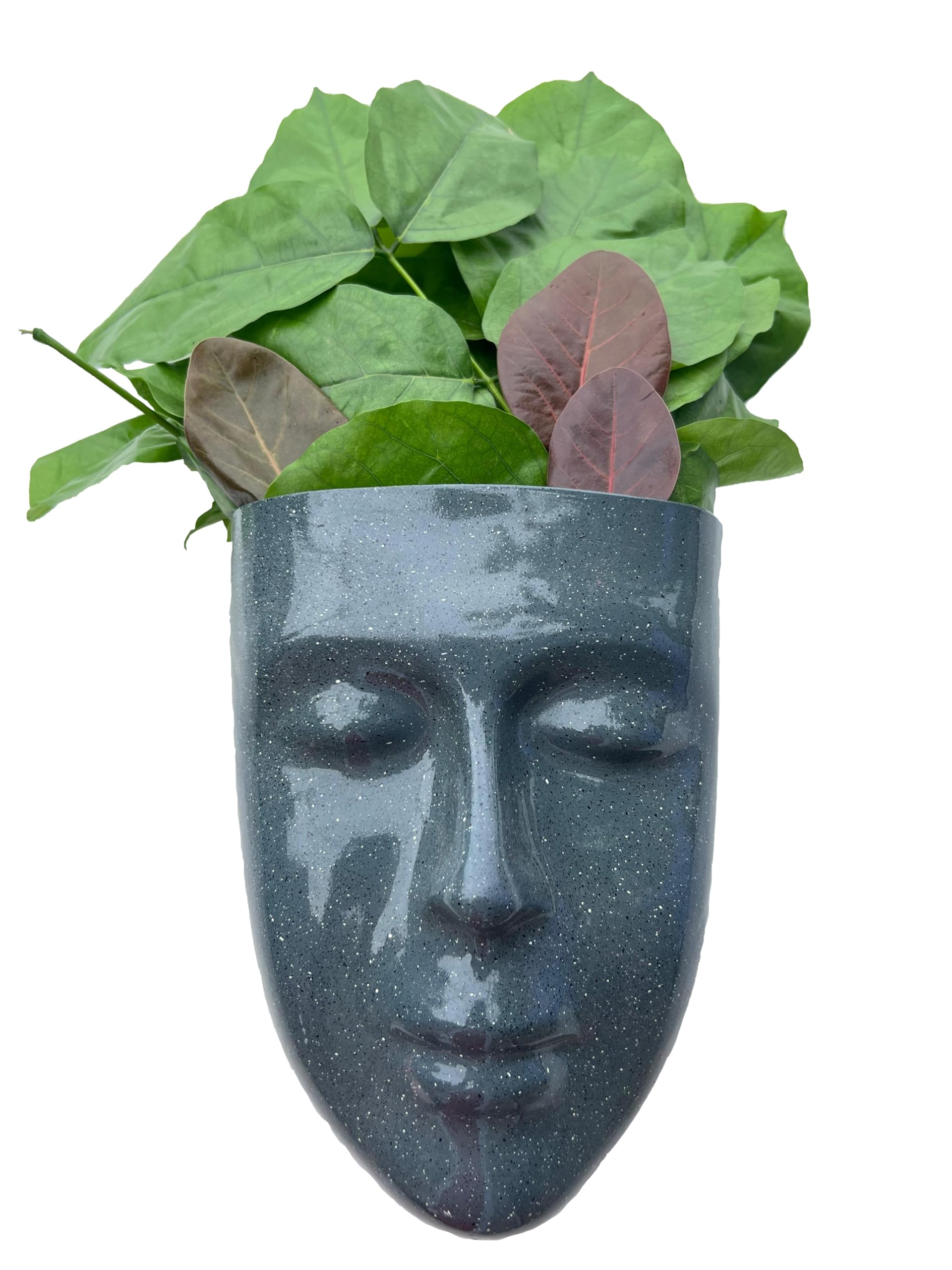 Love Bear Wall Planter | Adorable Face & Head Planter | Charming Wall Hanging Planter for Home & Balcony Decor | Perfect for Indoor & Outdoor Spaces (Men Grey Face Planter) (B0D9NRMV4X) Amazon Price History, Amazon Price Tracker