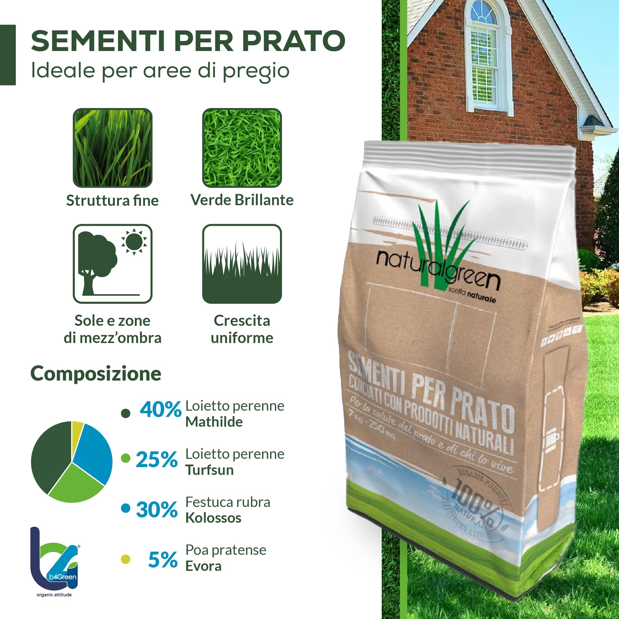 B4GREEN Semi Prato Inglese Professionale (250m²) – Sementi per Prato Ornamentale a Tessitura Fine per Giardino di Pregio – Tappeto Erboso Fitto, Elegante e Verde Brillante – Copertura fino a 250m² 7kg