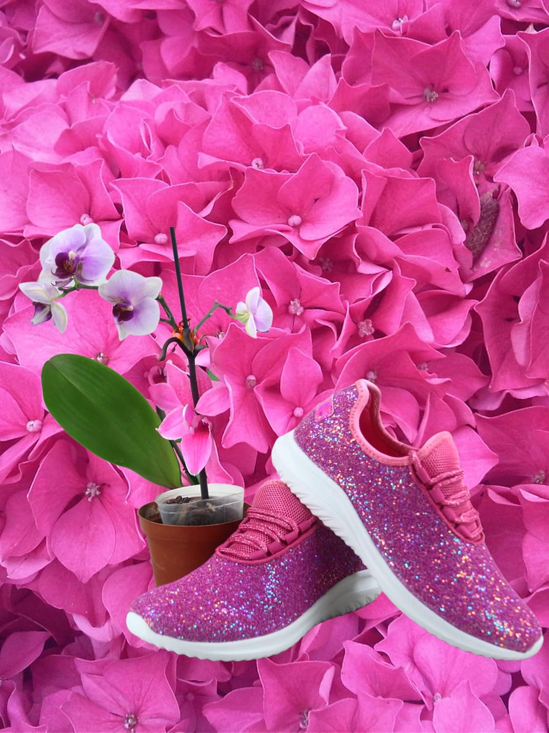 TZ Lotus-08 Women's Comfort Slip On Fashion Color Glitter Walking Runing Flat Heel Sneakers Shoes - Image 2