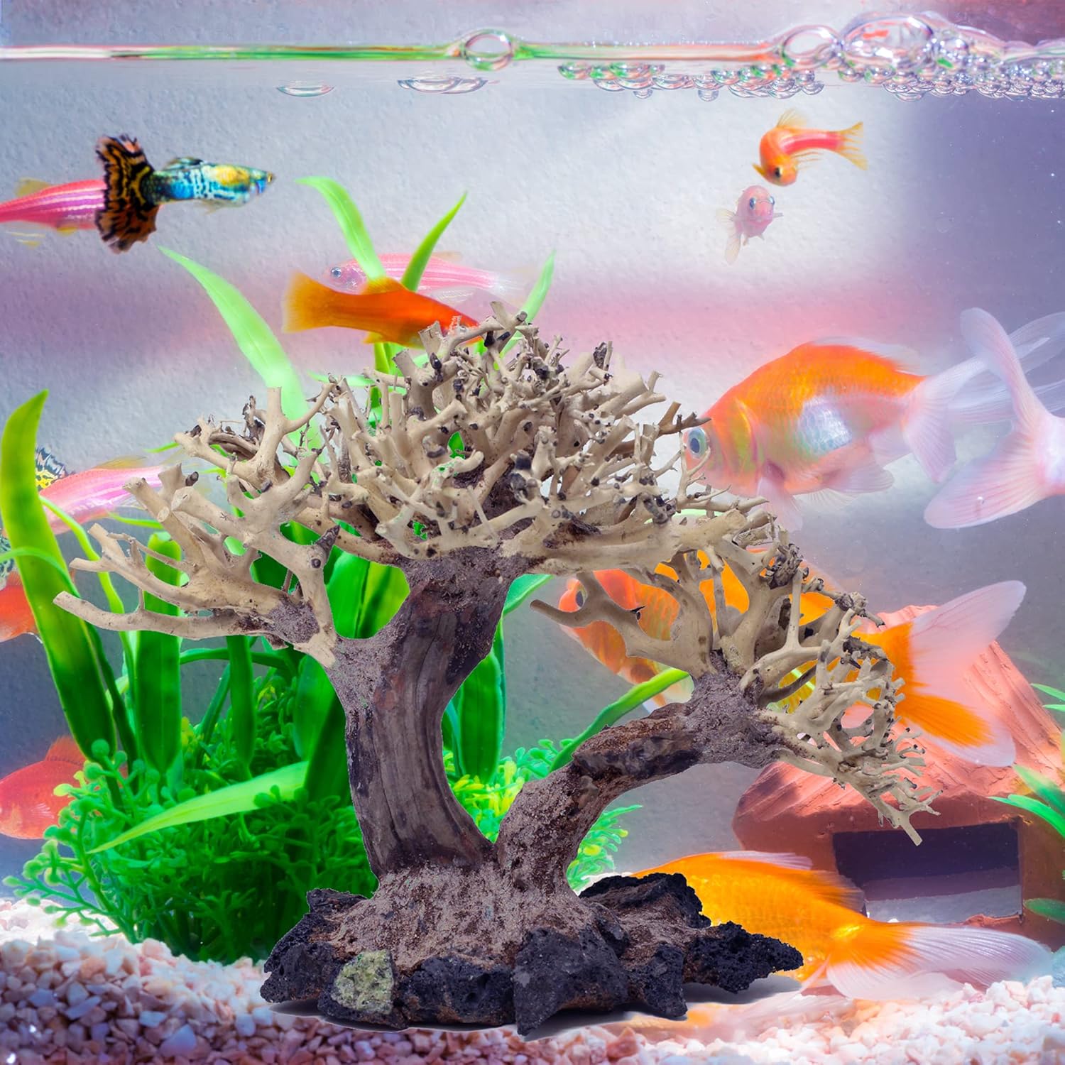 盆栽 流木 アクアリウムツリー AWC ランダムピック (高さ9インチ