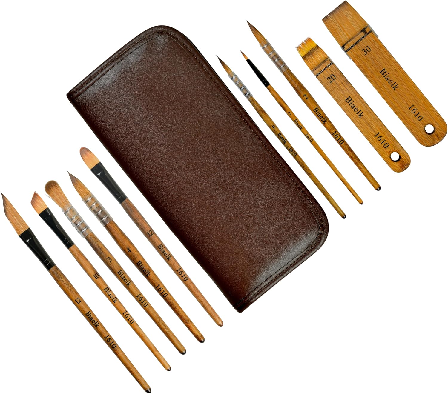 Professional Watercolor Brushes Set,Soft Synthetic Bristle,Rounds/Hake/Dagger Brushes for Detail,Wash, Acrylics,Inks Gouache Oil,10 Sizes Biaelk with Travel Case,for Aritists,Beginners Painting