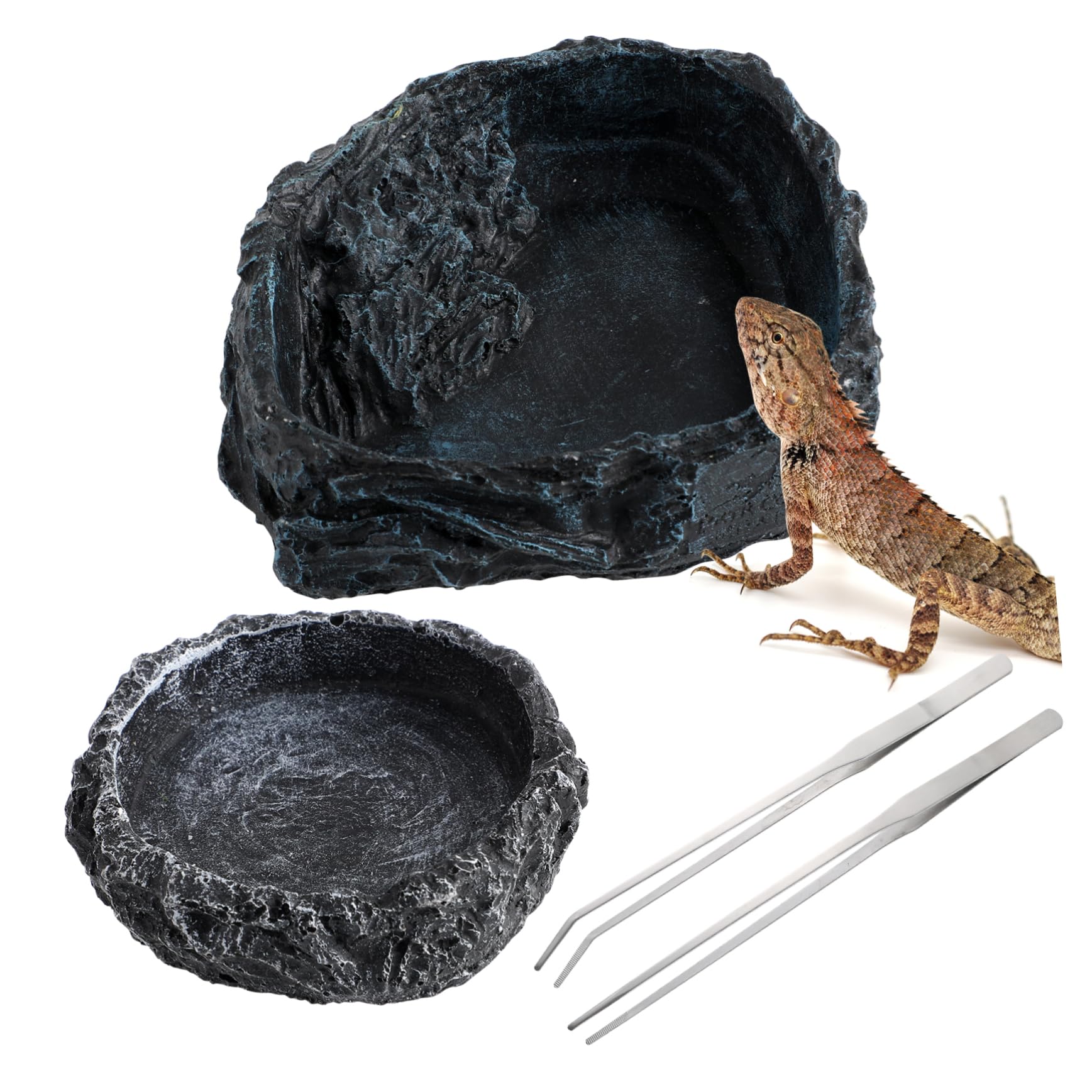 Abaodam 2Pcs Reptile Food Bowls with Tongs Feeding Dishes for Tortoise Lizard Frog Gecko Snake Durable Design for Reptile Habitats