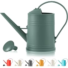 Plastic Indoor Watering Can with Sprinkler Head - 62 oz, 1/2 Gallon