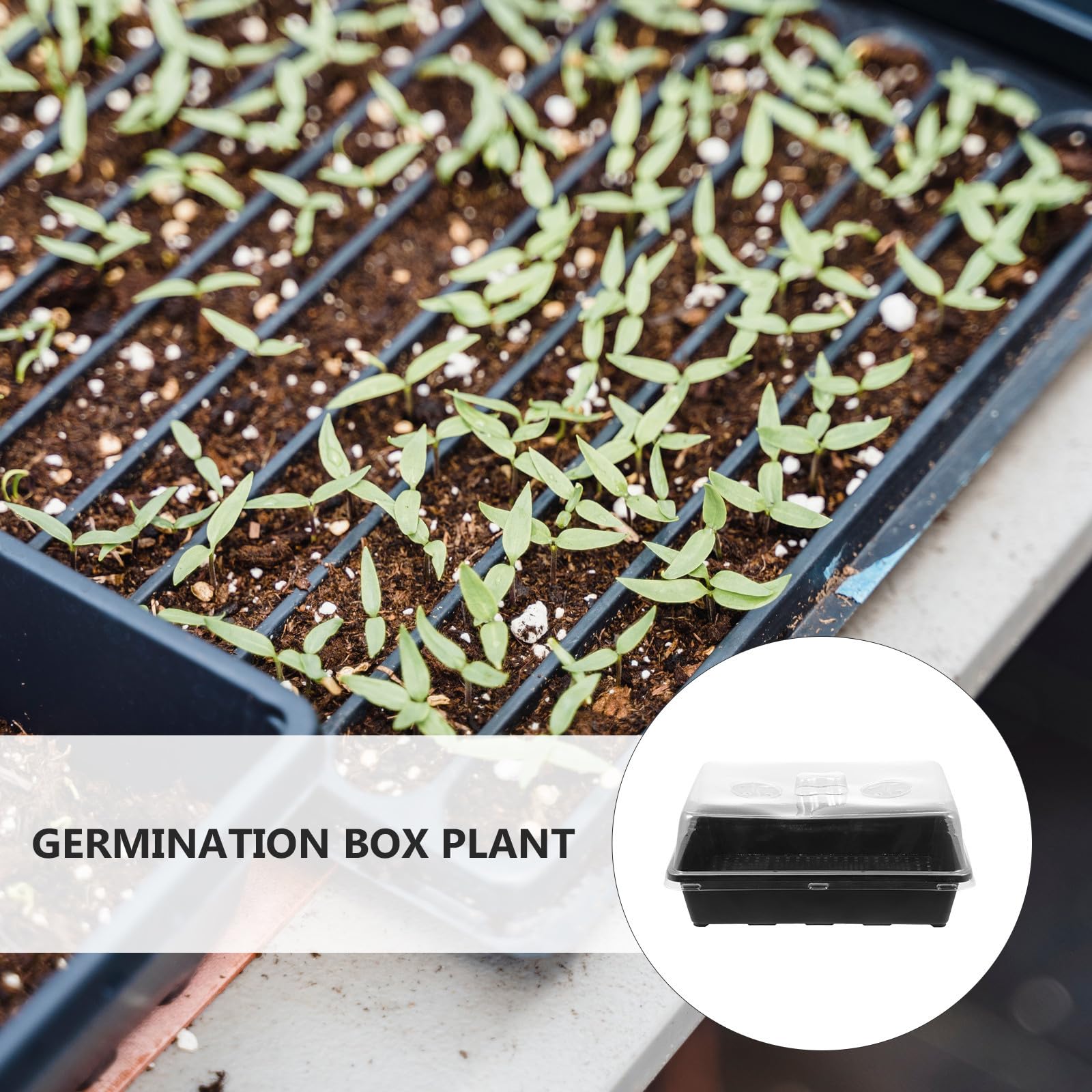 Germination en Plastique Noir, Lot de Sets de Semis