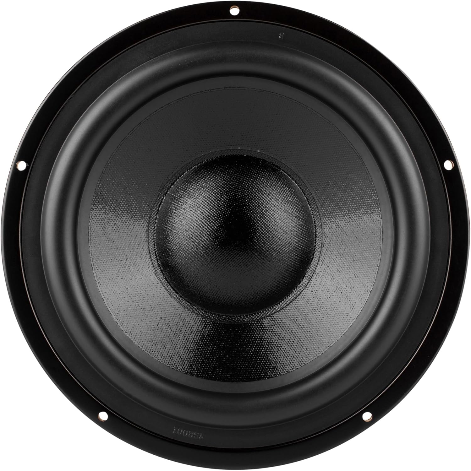 Dayton Audio DS215-PR 8-inch Passive Radiator, rear view