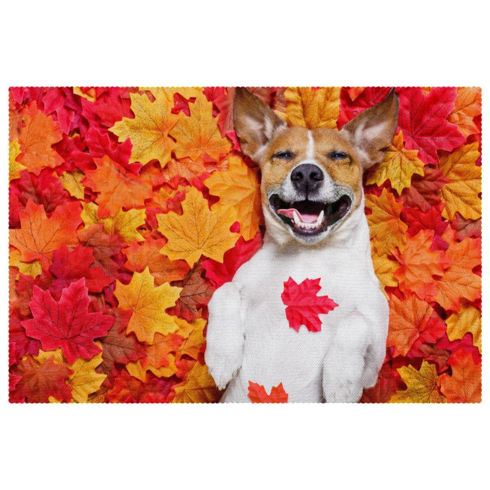 Set de table tissu Oxford lavable lot de 4 protège-table motif chien automne