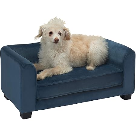 blue dog couch