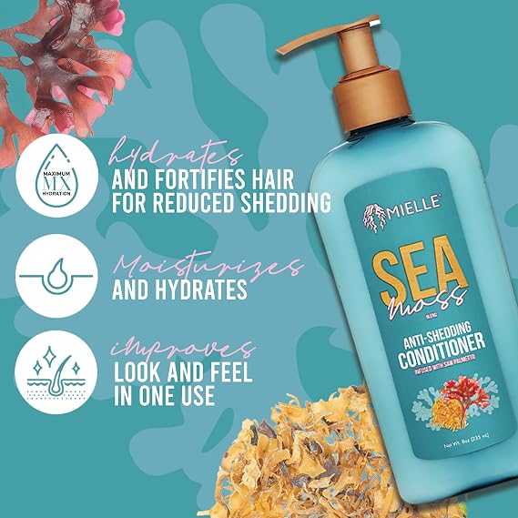 Mielle Organics Sea Moss Anti-Shedding Hair Conditioner - Hydrating Conditioner for Dry Hair - Fortifies Strands for Reduced Shedding - Improves Look and Feel with One Use (8 Oz)