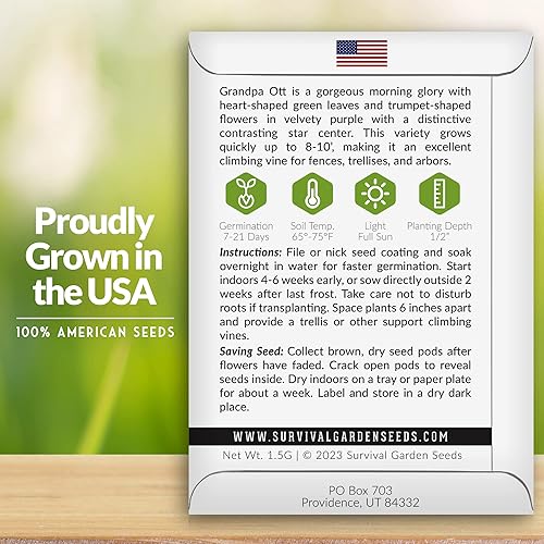 Miniatura 2 de Survival Garden Seeds - Grandpa OTT - Semilla de gloria matutina para plantar - 2 paquetes con instrucciones para plantar y cultivar Ipomoea