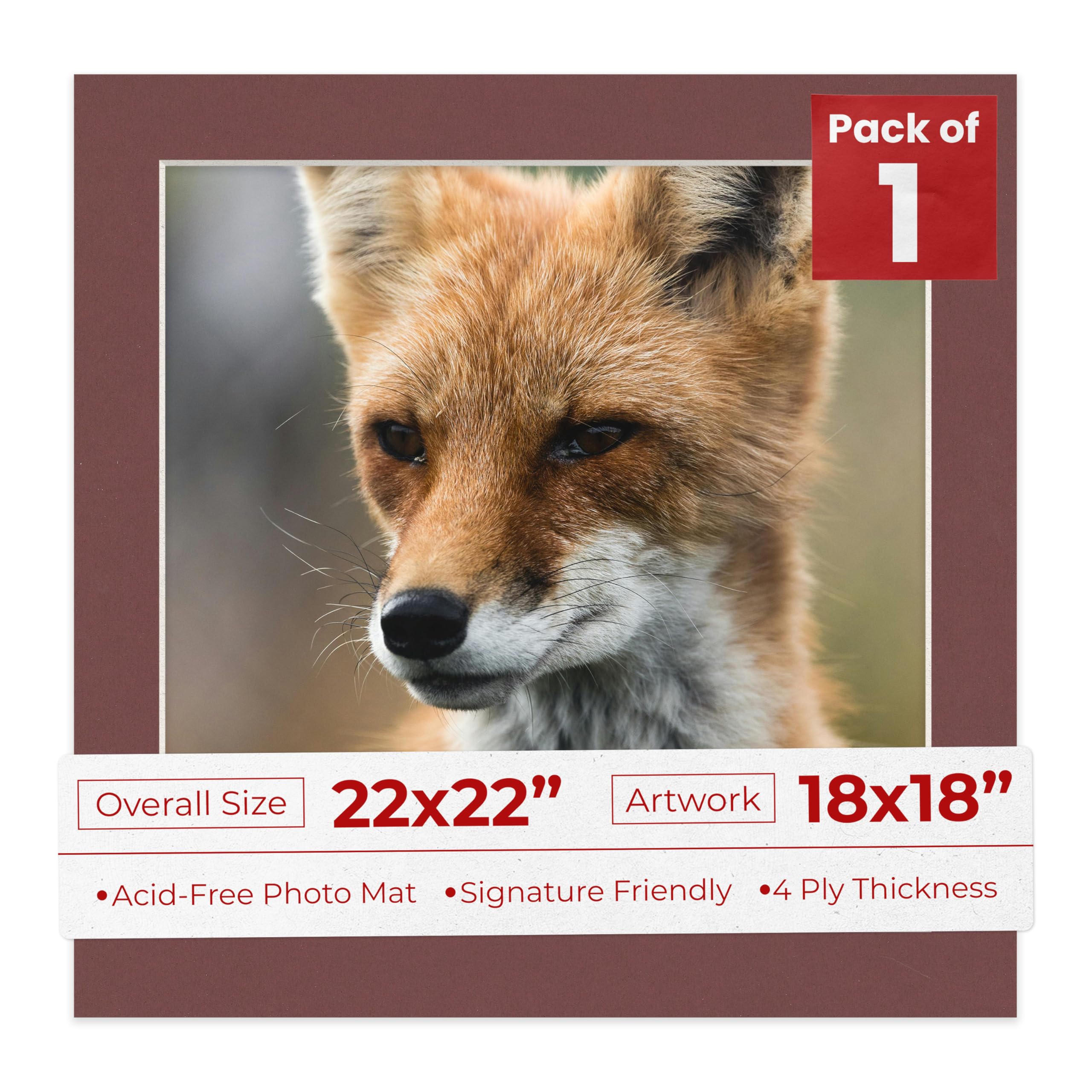 22x22 Mat Bevel Cut for 18x18 Photos - Precut Maroon Square Shaped Photo Mat Board Opening - Acid Free Matte to Protect Your Pictures - Bevel Cut for Family Photos, Pack of 1 Matboard Show Kit With-image-7