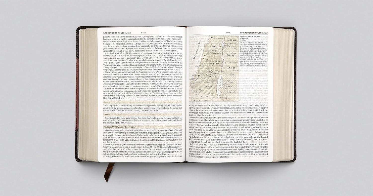 ESV Study Bible, Large Print (TruTone, Brown/Cordovan, Portfolio Design) - Image 5