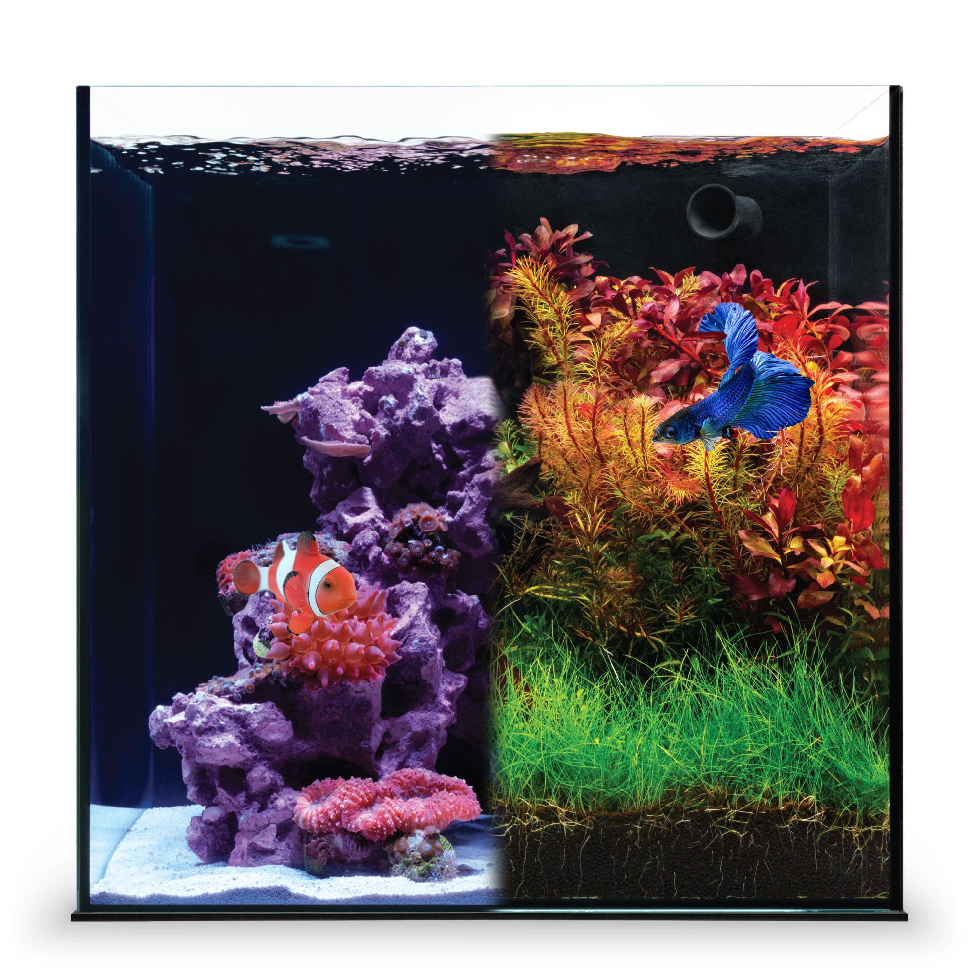 Ultum Nature Systems Dual AIO 11 Gallon