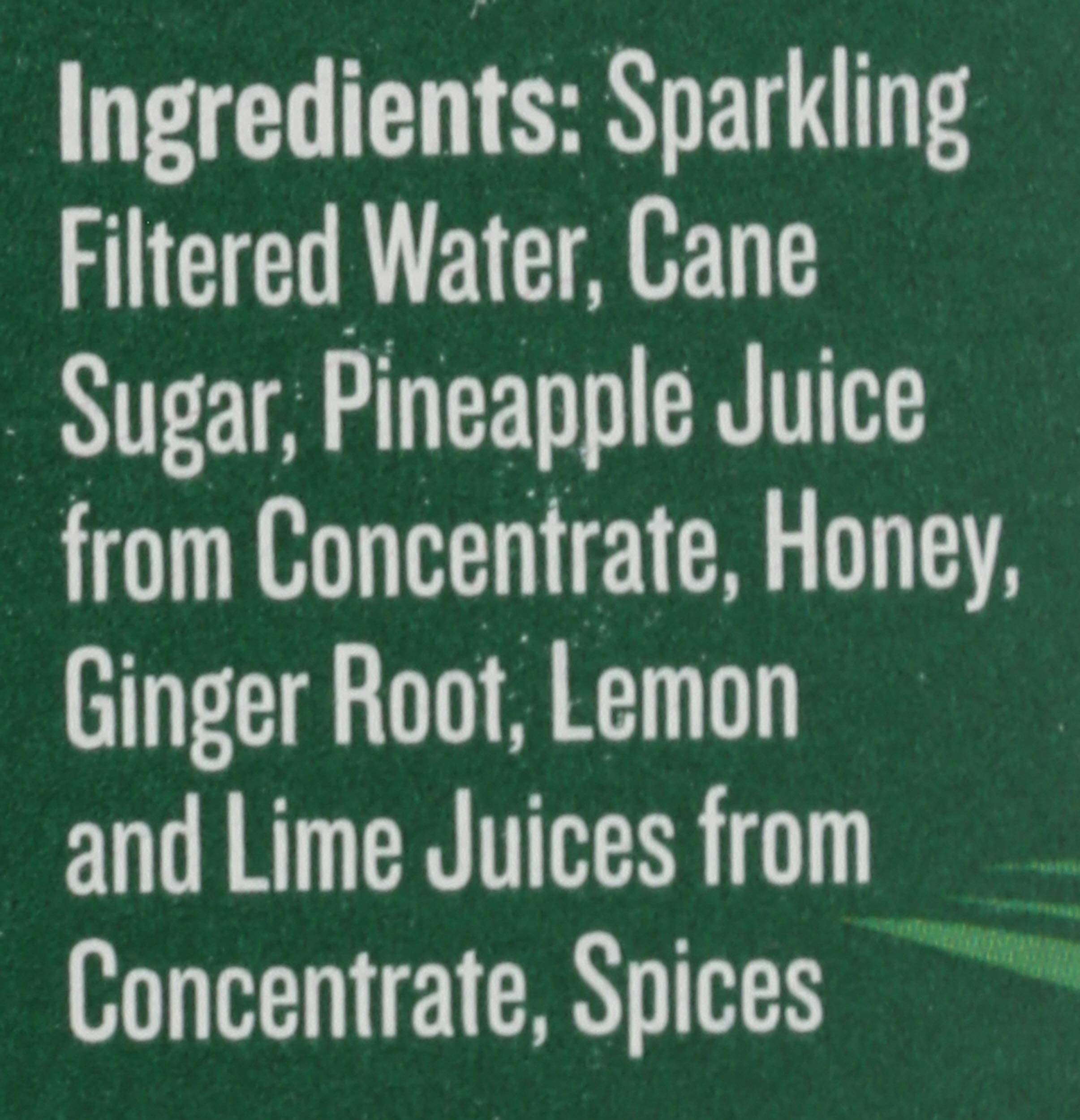 Reed's, Extra Ginger Brew, 12 fl oz