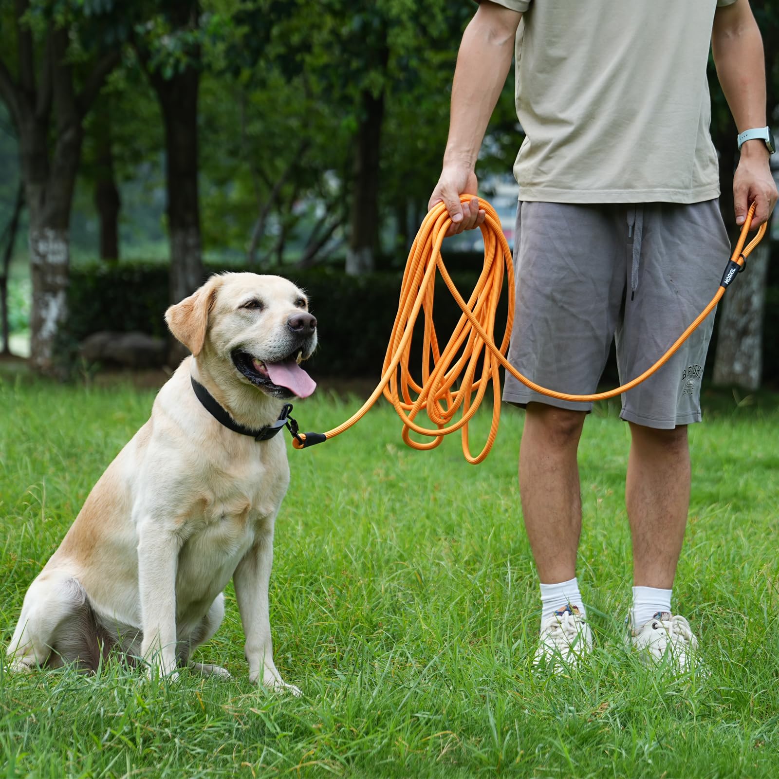 Guinzaglio lungo per cani, 3 m, 9,1 m, 15,2 m, resistente guinzaglio da addestramento per cani, moschettone in alluminio aeronautico, moschettone autobloccante, corda di nylon, cavo di