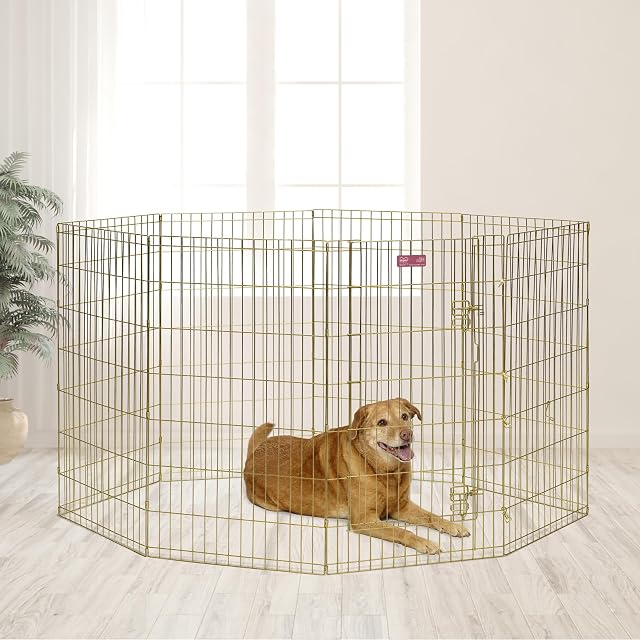Foto 2 de 6 de MidWest Homes for Pets - 546-42 Parque de ejercicio y juego para perros y mascotas, metálico, plegable…