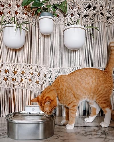Miniatura 6 de uahpet Fuente de agua para gatos de acero inoxidable, 67 onzas2 L, funciona con pilas, fuente inalámbrica para gatos, dispensador de agua para