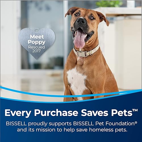 Miniatura 3 de Bissell Multi-Surface Pet with Citrus, 80oz