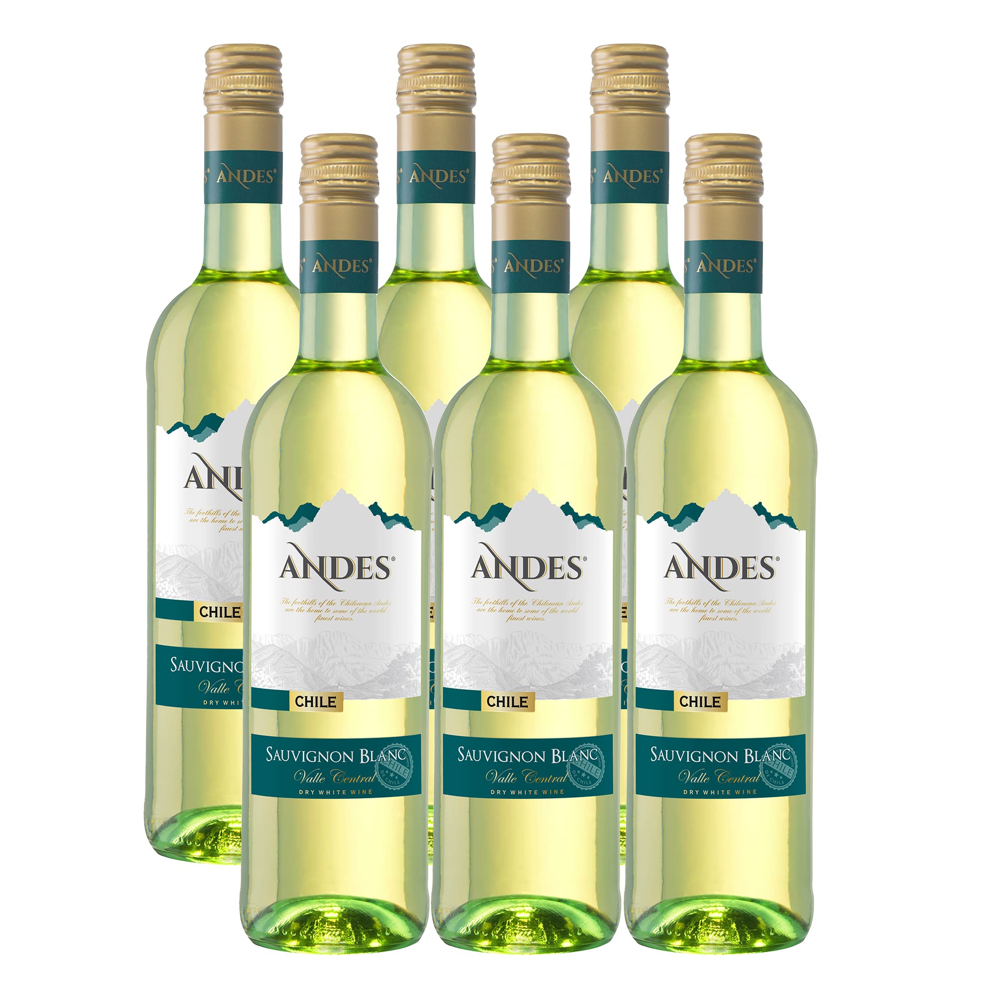 Andes Sauvignon Blanc Chile trocken (6 x 0.75 l)