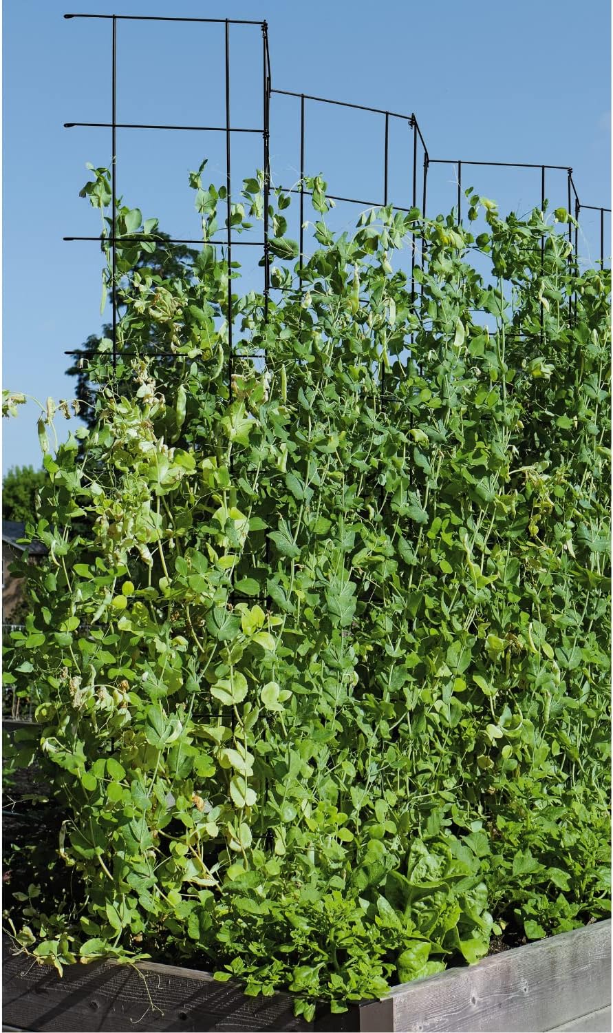 Gardener's Supply Company Tall Expandable Pea Trellis for Outdoor Plants | Sturdy Garden Trellis for Beans, Peas & Other Climbing Vegetables | 9'-3" L x 64" H Installed - Green