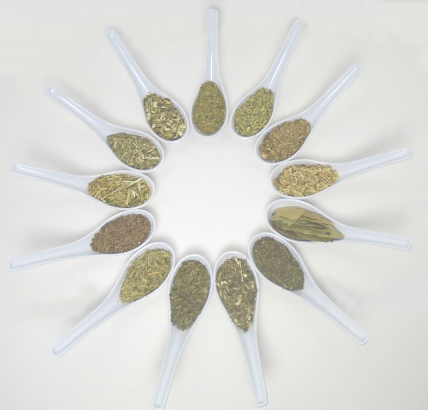 Wicca or Hoodoo Herb Spell Kit - Witchcraft Healing Herbs + Magickal Herbs eBook