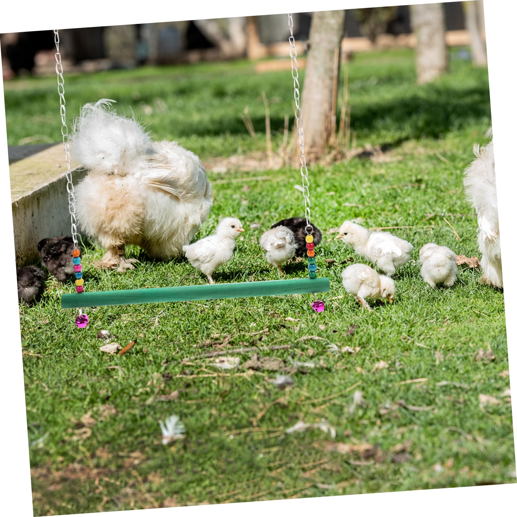 Toddmomy Enhance Chicken's Playtime Wooden Swing Climbing Frame Pet Chicken Toys Decorative Coop Accessory Random