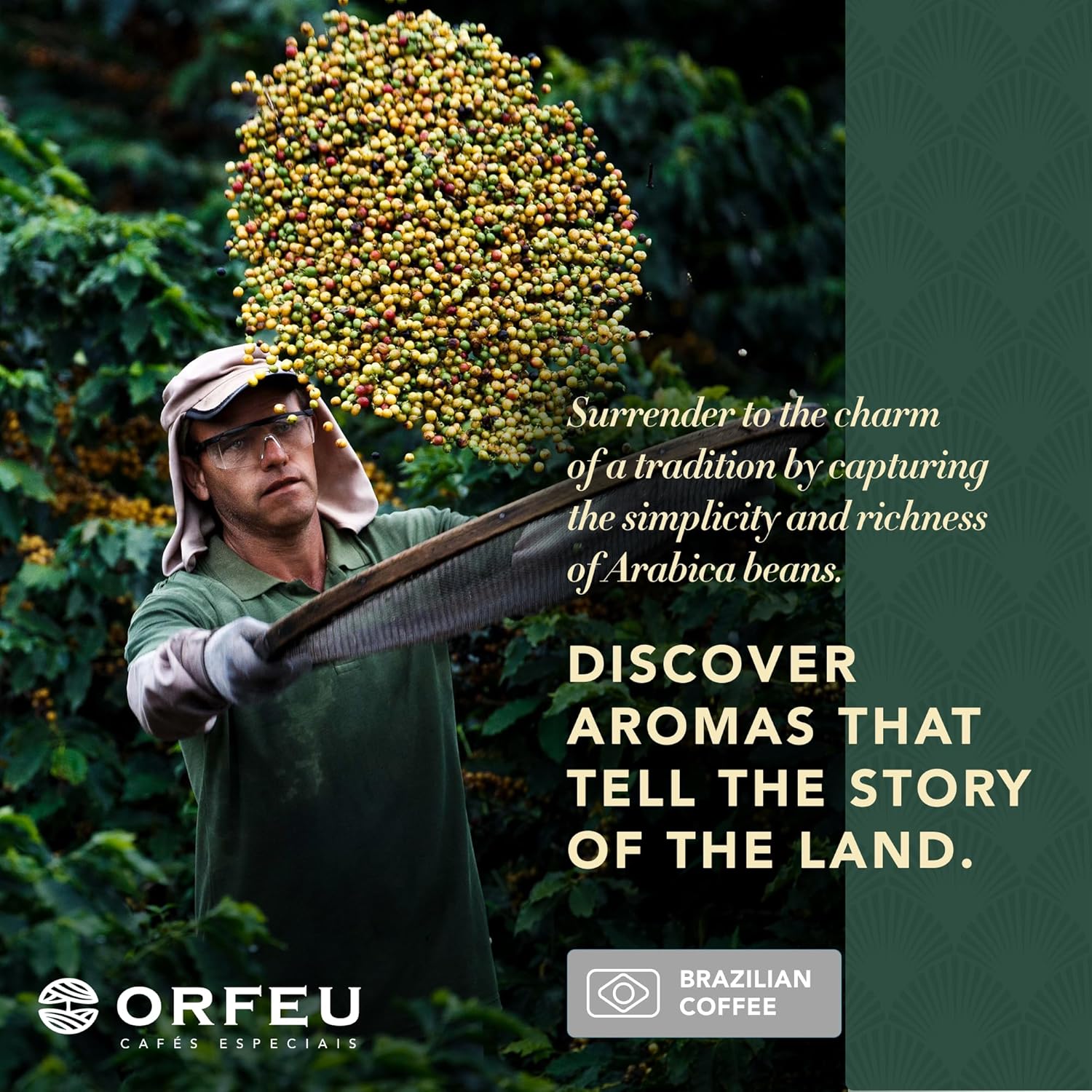 ORFEU - Special Decaf Coffee Intense Roasted Beans - 100% Arabica Coffee, Toasted Caramel & Fruit Jam Aroma, Low Acidity & High Sweetness - 8.8 oz