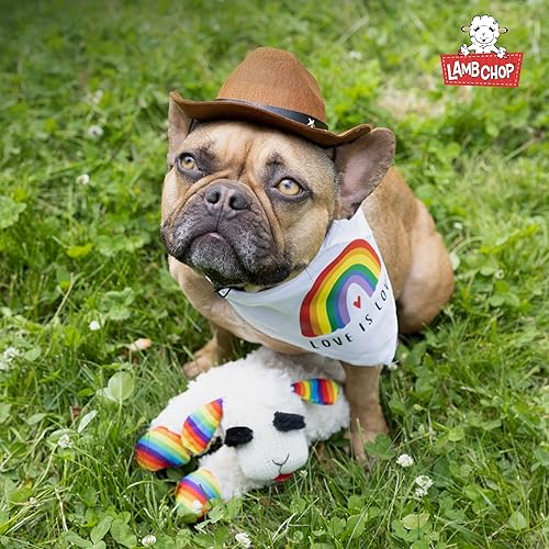 Miniatura 8 de Multipet Lambchop - Juguete de peluche para perros con chirriador