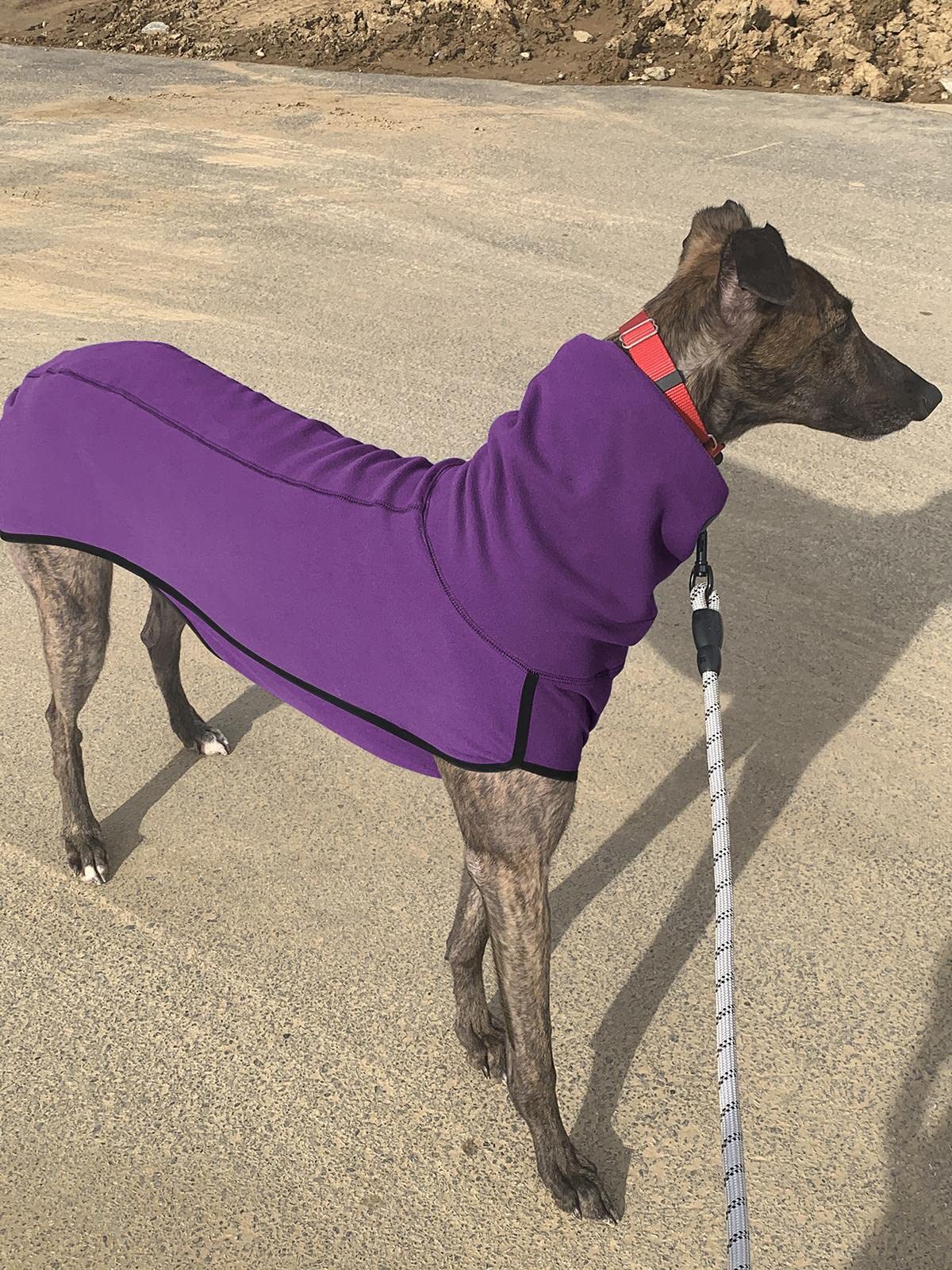Esobo Hundepullover Für Herbst & Winter - Fleece, Warm, Größen Für Kleine Bis Große Hunde