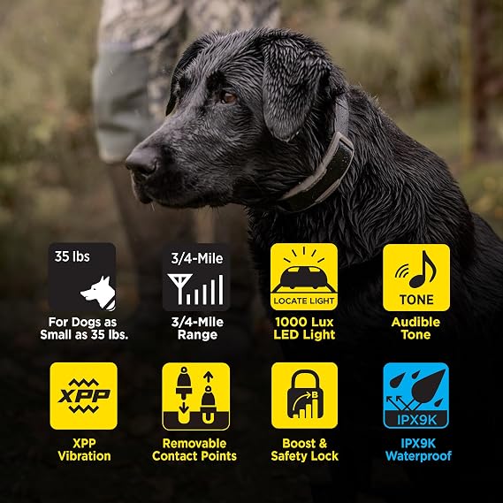 Dogtra 1900X & Blue X-Shield Bundle - 3/4 Mile Dog Training E-Collar
