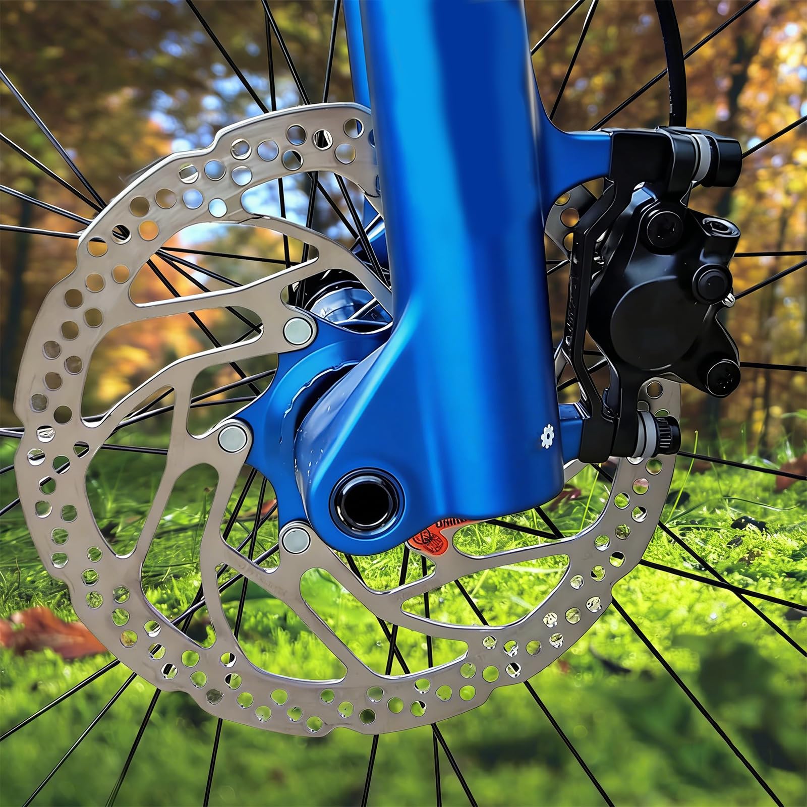 Fahrrad-Zentralverschluss-Bremsscheibe, Ersatz für Shimano SM-RT30, 180 mm Bremsscheibe mit Schließdeckel, ideal für Rennräder und Mountainbikes (RT30,180MM)