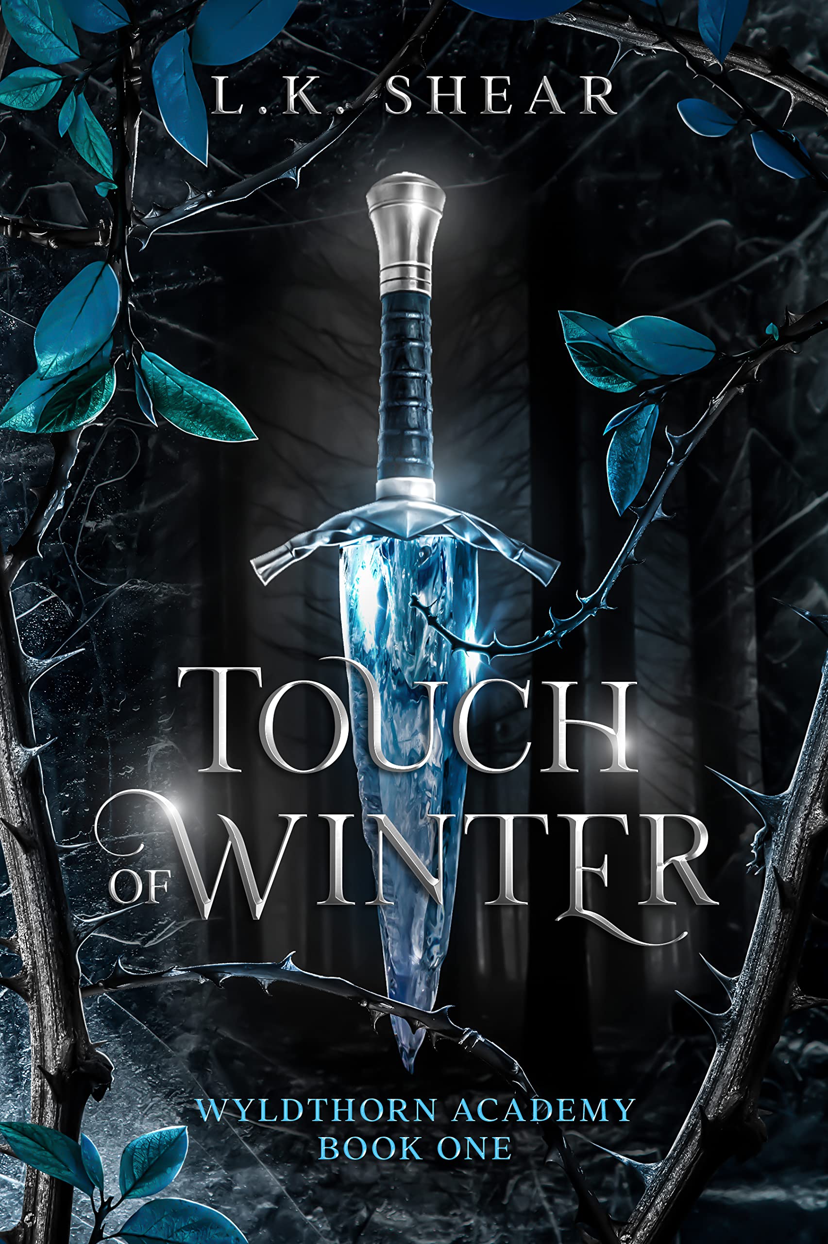 Touch of Winter: Wyldthorn Academy Book One (English Edition)