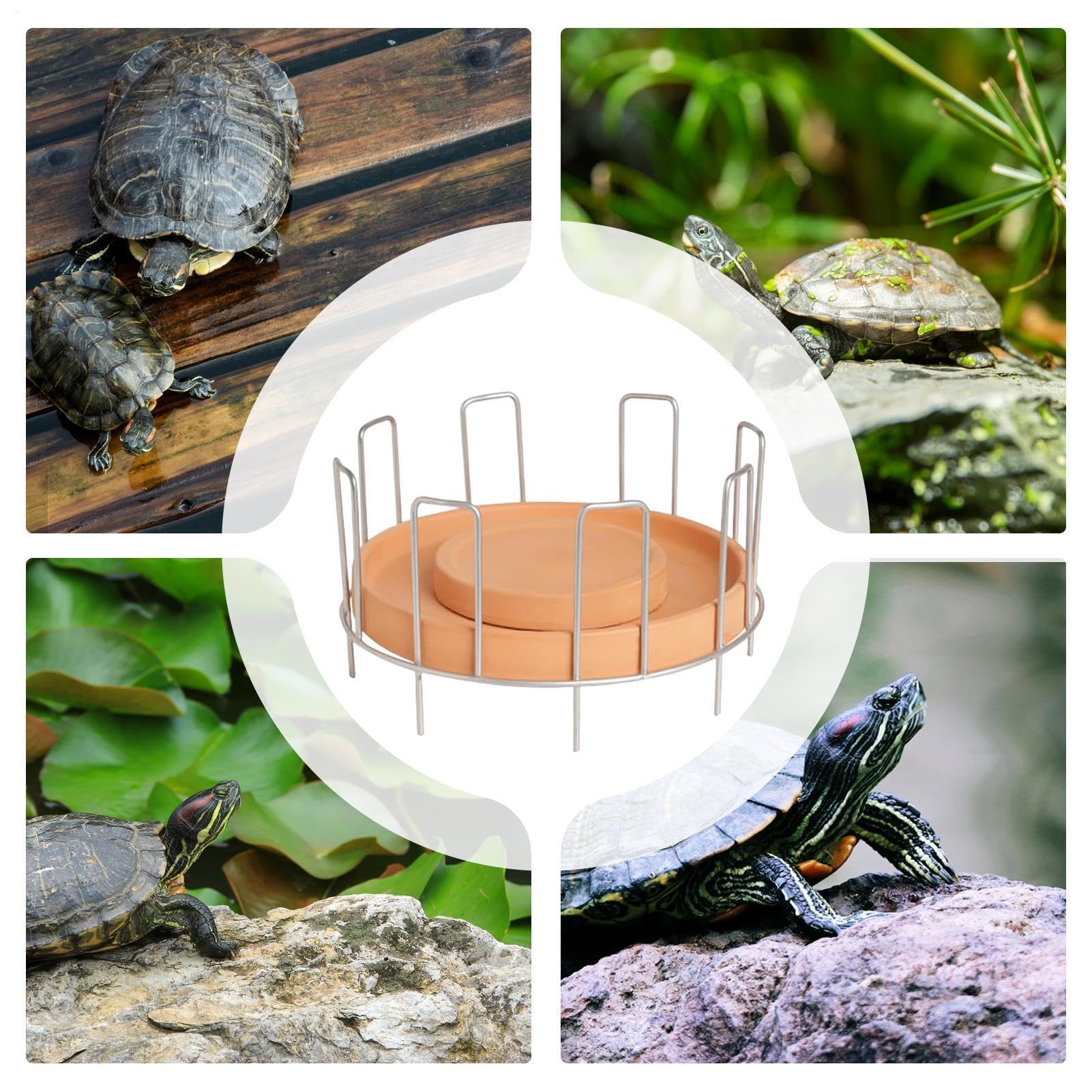 Mangiatoia per rettili a prova di ribaltamento, stabile, mantiene l'acqua pulita | Ciotola per tartarughe per titolari di rettili, allevatori, hobbisti, appassionati di sole e