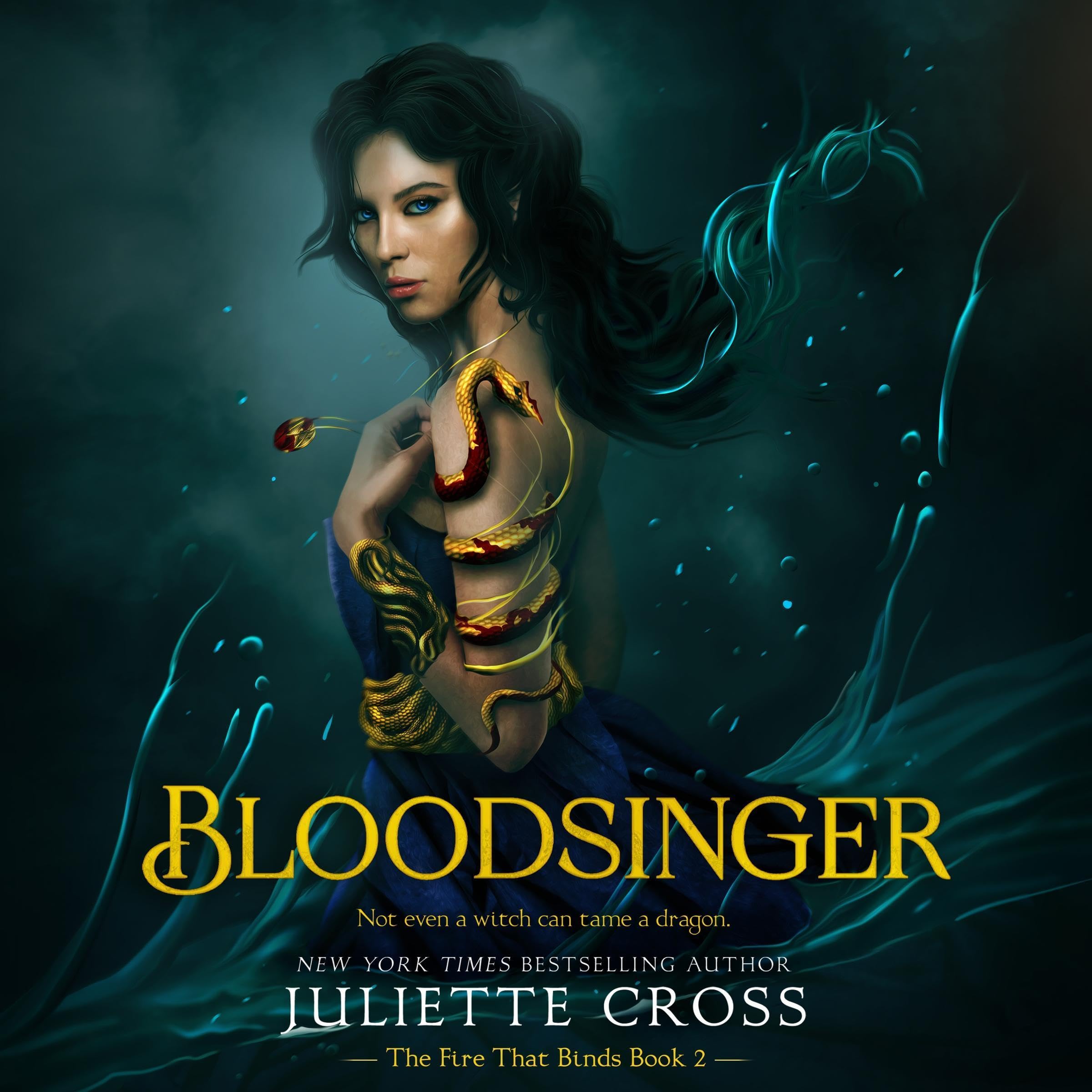 Cover art for Bloodsinger