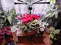 Review Image by Steve Clark Steve Clark