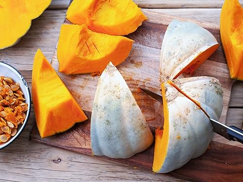 Miniatura 4 de Jarrahdale Semillas de calabaza azul - Paquete de 60 unidades - para 2025 Cenicienta cuento de hadas Halloween calabaza Jarradale Queensland Moon