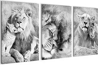 Novart Set de Decoración de Pared con Cuadros Leones de África Cuadro - LISTO PARA COLGAR - No Necesita Marco - Dormitorio Salón Cocina - N036236b