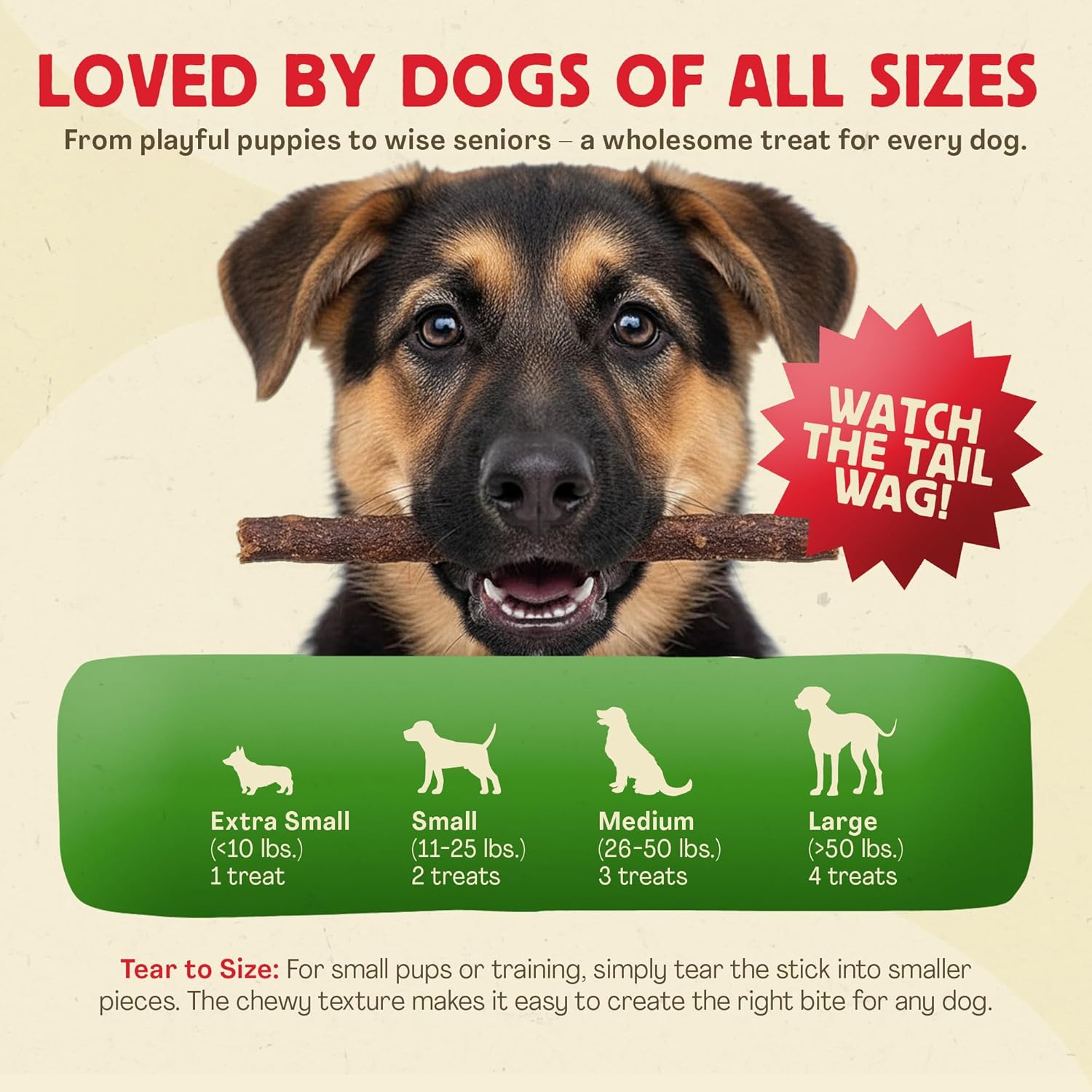 Chewmasters Beef Stix - Grass-Fed Beef Dog Treats, Soft Chewy Real Meat, Healthy Dog Treats for Training Rewards, Grain-Free, No Corn, Soy, and Additives, Made in USA, 2 lb