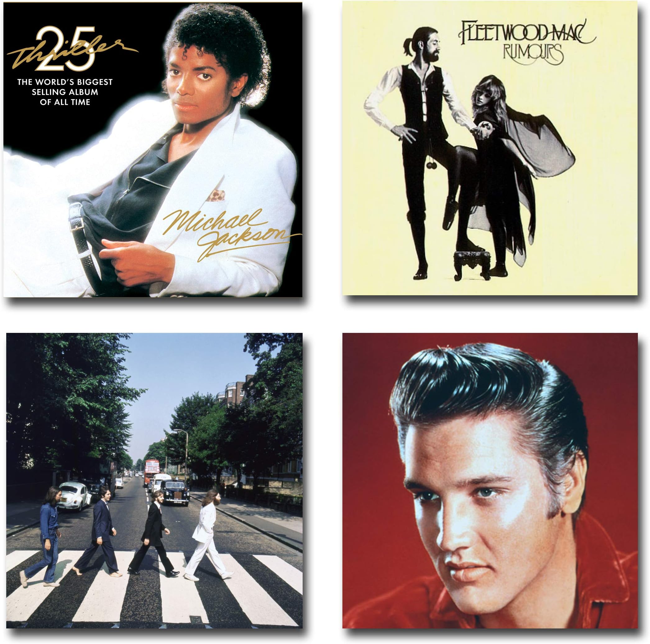 Peel N Stick Hook N Loop Record Album Cover Holder Wall Mount Hanger Shelf Display Frames (1)