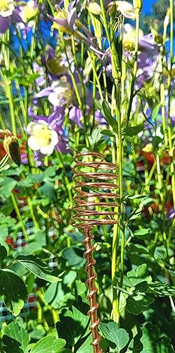 Miniatura 8 de Electroculture Grows - Juego de 5 estacas de cobre sólido de 18 pulgadas de largo, envueltas con cobre sólido puro